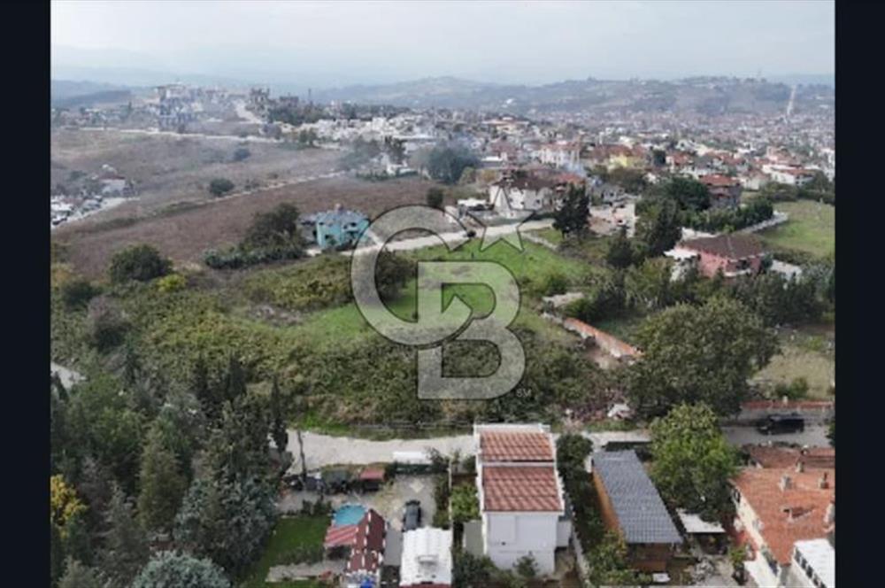 YALOVA FEVZİÇAKMAK HAKİM TEPEDE 5 PARSEL ARSA 