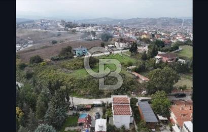 YALOVA FEVZİÇAKMAK HAKİM TEPEDE 5 PARSEL ARSA 