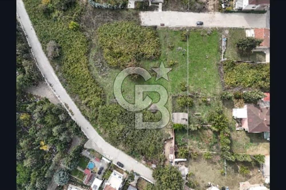 YALOVA FEVZİÇAKMAK HAKİM TEPEDE 5 PARSEL ARSA 