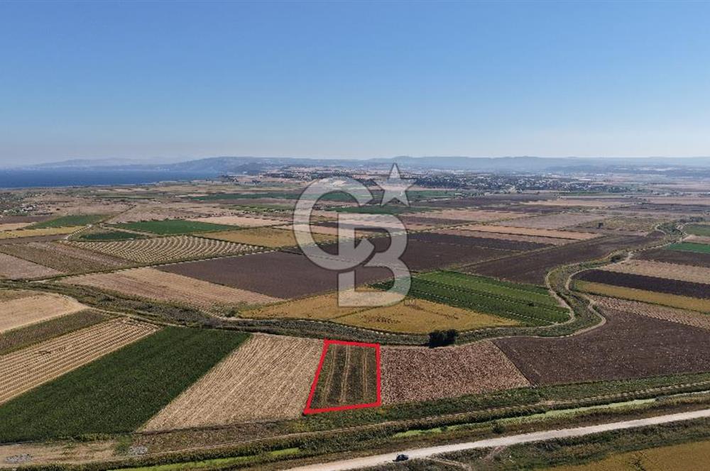 ÇANAKKALE KUMKALEDE VERİMLİ 3285 m² SATILIK TARIM ARAZİSİ