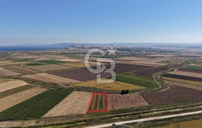 ÇANAKKALE KUMKALEDE VERİMLİ 3285 m² SATILIK TARIM ARAZİSİ