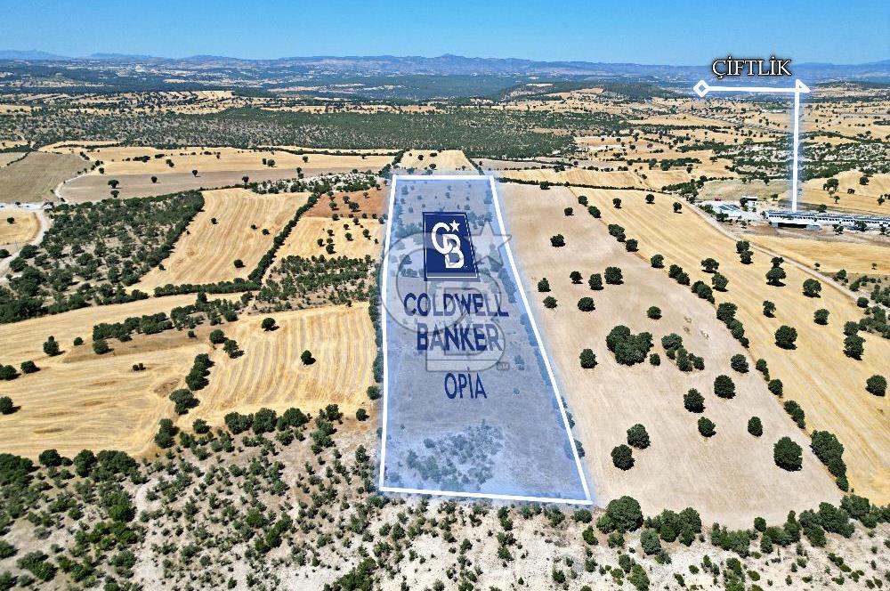 CB OPİA'DAN ''BEYLERHAN'DA TEKSTİL O.S.B YAKINI 42,321M² TARLA'