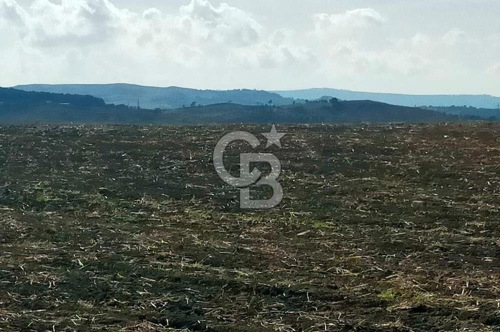 Lapseki Kangırlı'da Boğaz ve1915 Köprüsü Manzaralı Satılık Tarla