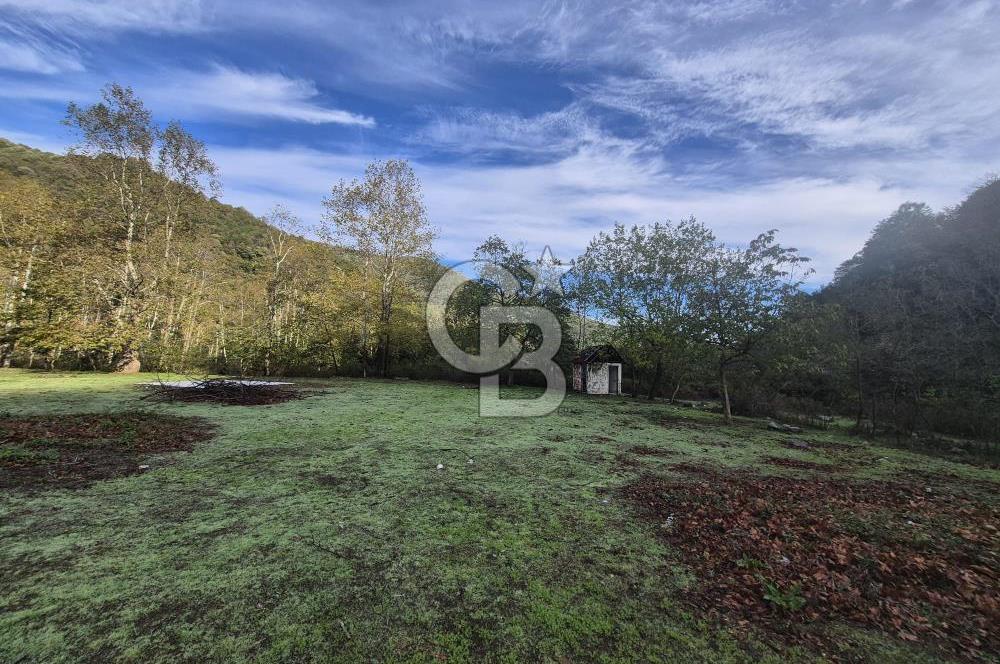 YALOVA ÇINARCIK TEŞVİKİYE'DE SATILIK DOĞA MANZARALI ARSA! 1532m2