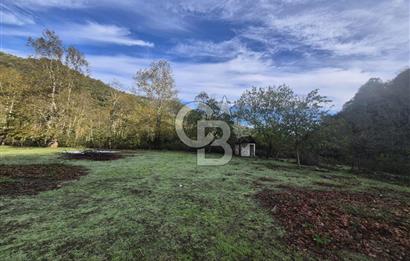 YALOVA ÇINARCIK TEŞVİKİYE'DE SATILIK DOĞA MANZARALI ARSA! 1532m2