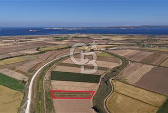 ÇANAKKALE KUMKALEDE VERİMLİ 3285 m² SATILIK TARIM ARAZİSİ - 5 - 310187