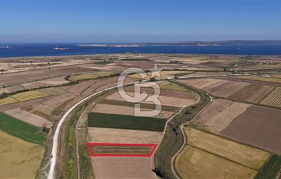 ÇANAKKALE KUMKALEDE VERİMLİ 3285 m² SATILIK TARIM ARAZİSİ