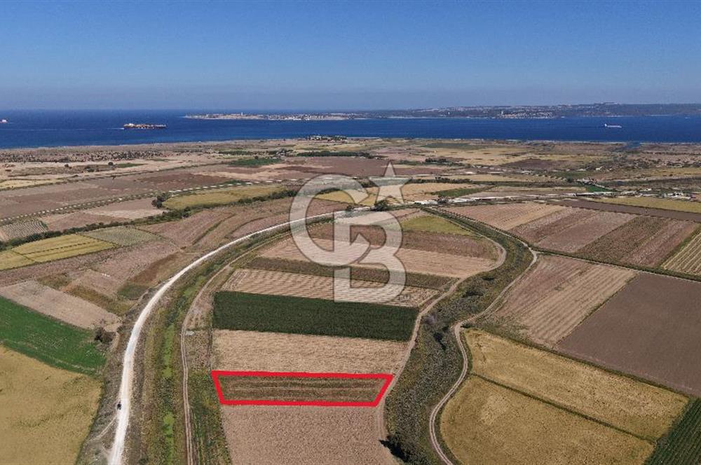 ÇANAKKALE KUMKALEDE VERİMLİ 3285 m² SATILIK TARIM ARAZİSİ