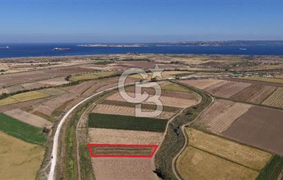 ÇANAKKALE KUMKALEDE VERİMLİ 3285 m² SATILIK TARIM ARAZİSİ