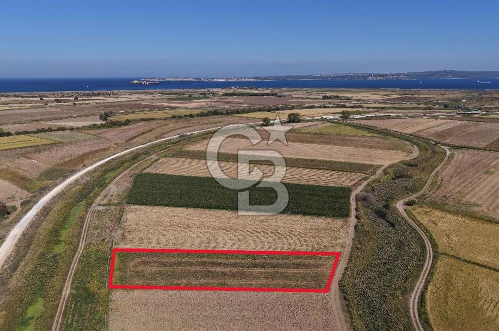 ÇANAKKALE KUMKALEDE VERİMLİ 3285 m² SATILIK TARIM ARAZİSİ