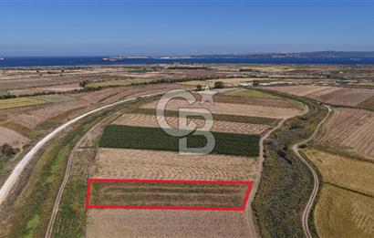 ÇANAKKALE KUMKALEDE VERİMLİ 3285 m² SATILIK TARIM ARAZİSİ