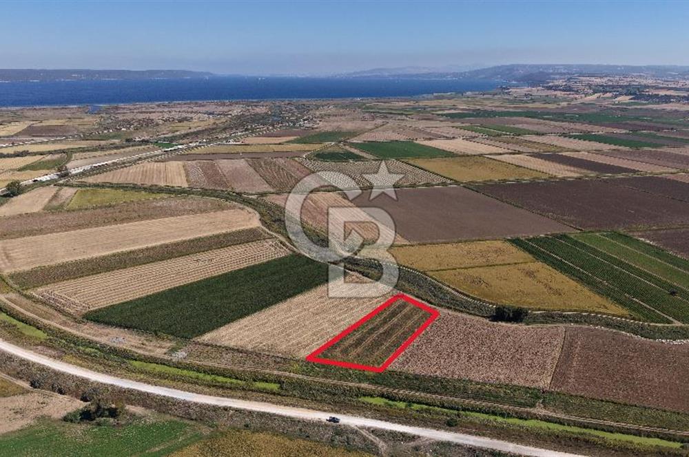 ÇANAKKALE KUMKALEDE VERİMLİ 3285 m² SATILIK TARIM ARAZİSİ