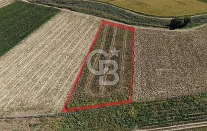 ÇANAKKALE KUMKALEDE VERİMLİ 3285 m² SATILIK TARIM ARAZİSİ