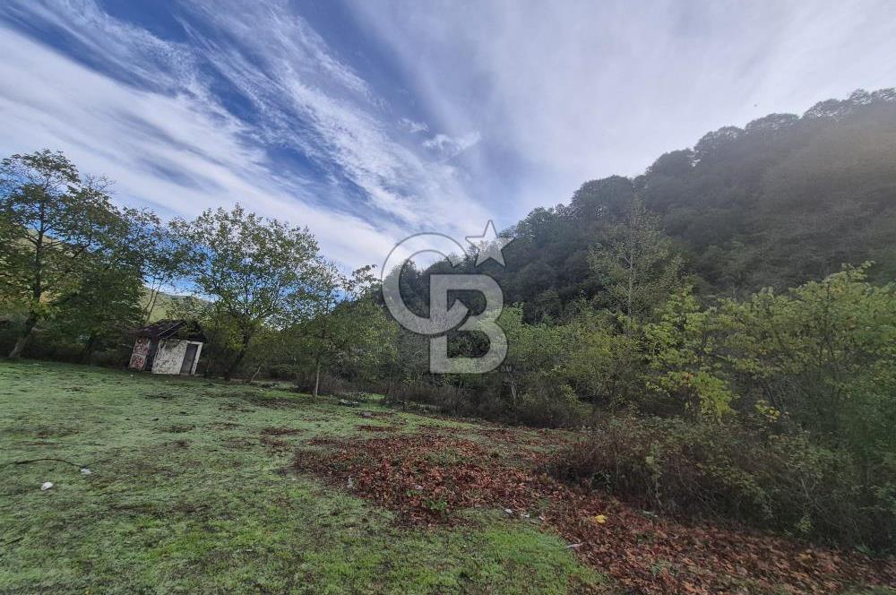 YALOVA ÇINARCIK TEŞVİKİYE'DE SATILIK DOĞA MANZARALI ARSA! 1532m2