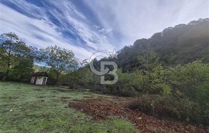 YALOVA ÇINARCIK TEŞVİKİYE'DE SATILIK DOĞA MANZARALI ARSA! 1532m2