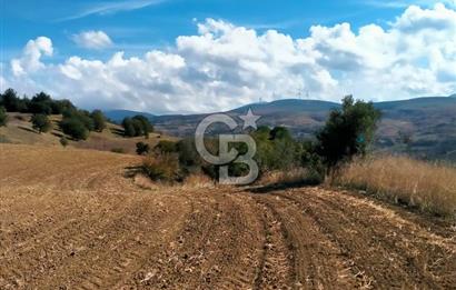 Lapseki Kangırlı'da Boğaz ve1915 Köprüsü Manzaralı Satılık Tarla