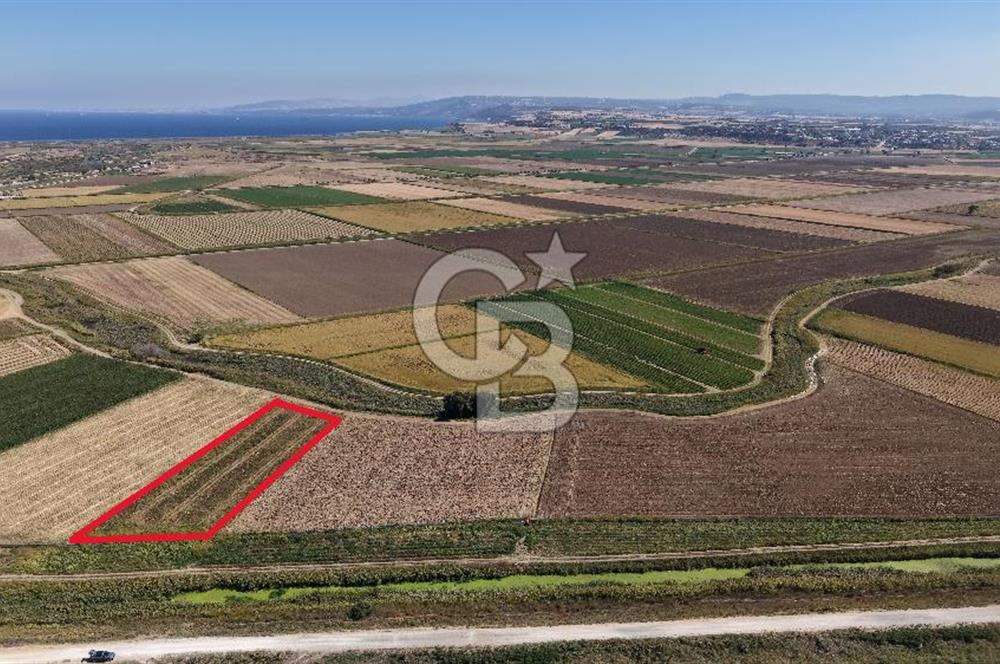 ÇANAKKALE KUMKALEDE VERİMLİ 3285 m² SATILIK TARIM ARAZİSİ