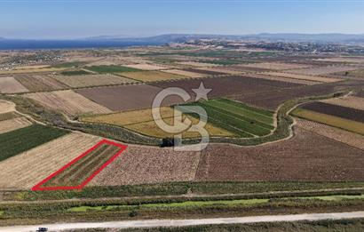 ÇANAKKALE KUMKALEDE VERİMLİ 3285 m² SATILIK TARIM ARAZİSİ