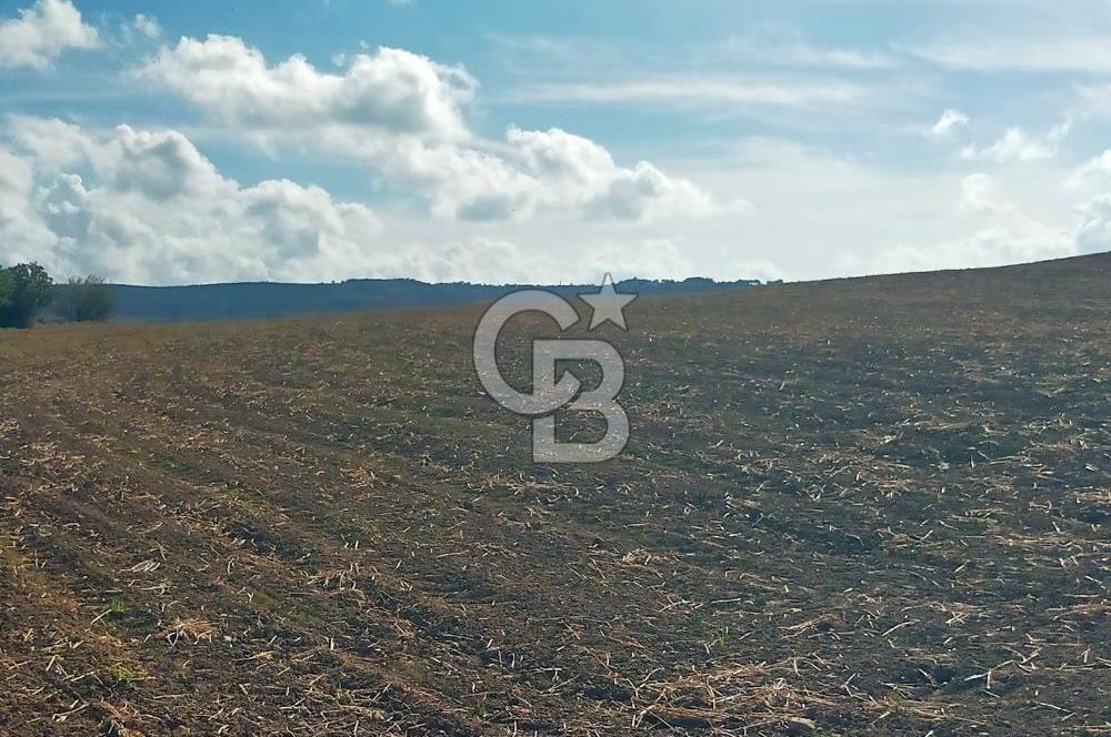 Lapseki Kangırlı'da Boğaz ve1915 Köprüsü Manzaralı Satılık Tarla