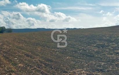 Lapseki Kangırlı'da Boğaz ve1915 Köprüsü Manzaralı Satılık Tarla