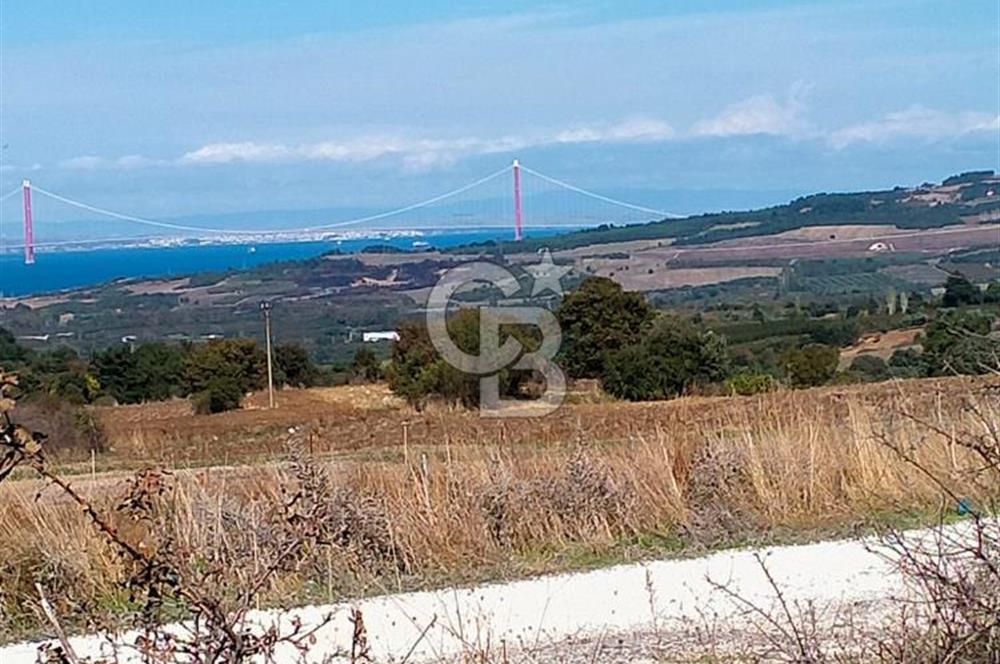Lapseki Kangırlı'da Boğaz ve1915 Köprüsü Manzaralı Satılık Tarla