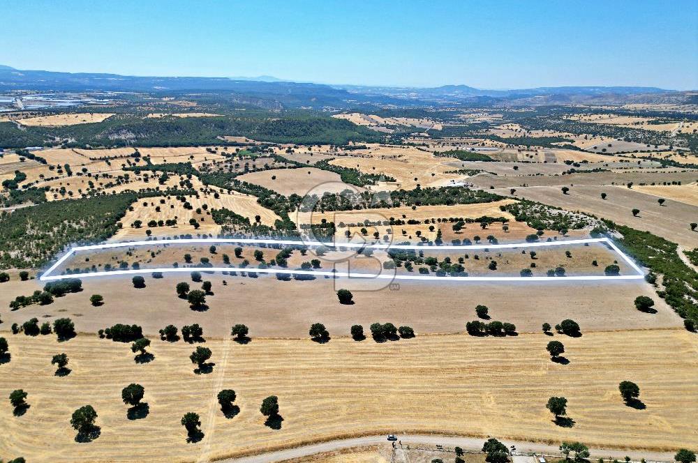CB OPİA'DAN ''BEYLERHAN'DA TEKSTİL O.S.B YAKINI 42,321M² TARLA'