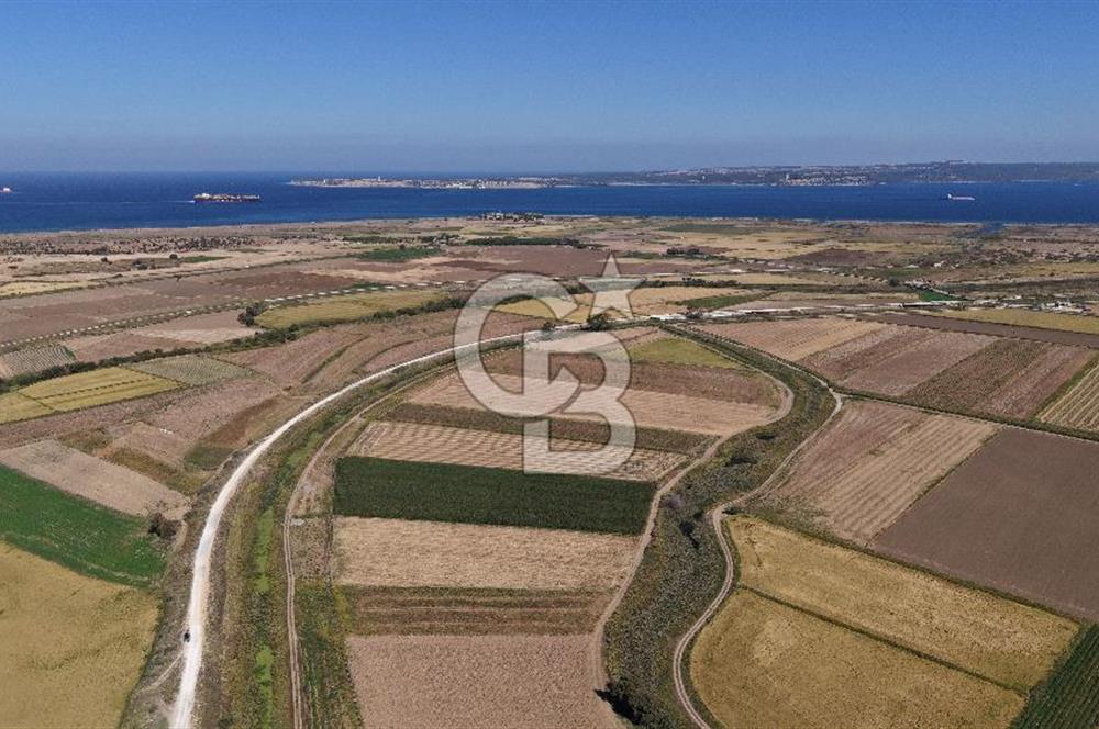 ÇANAKKALE KUMKALEDE VERİMLİ 3285 m² SATILIK TARIM ARAZİSİ