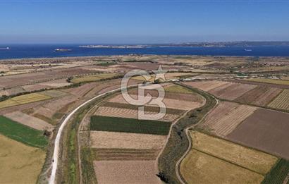ÇANAKKALE KUMKALEDE VERİMLİ 3285 m² SATILIK TARIM ARAZİSİ