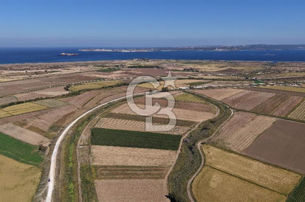 ÇANAKKALE KUMKALEDE VERİMLİ 3285 m² SATILIK TARIM ARAZİSİ