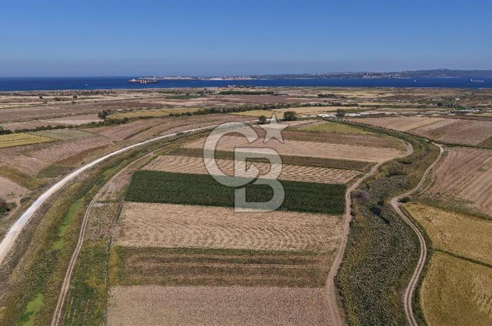 ÇANAKKALE KUMKALEDE VERİMLİ 3285 m² SATILIK TARIM ARAZİSİ