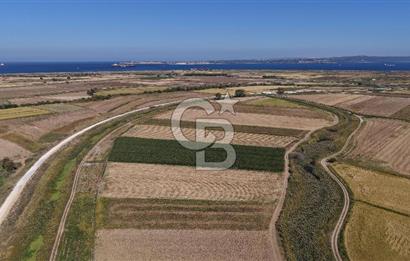 ÇANAKKALE KUMKALEDE VERİMLİ 3285 m² SATILIK TARIM ARAZİSİ