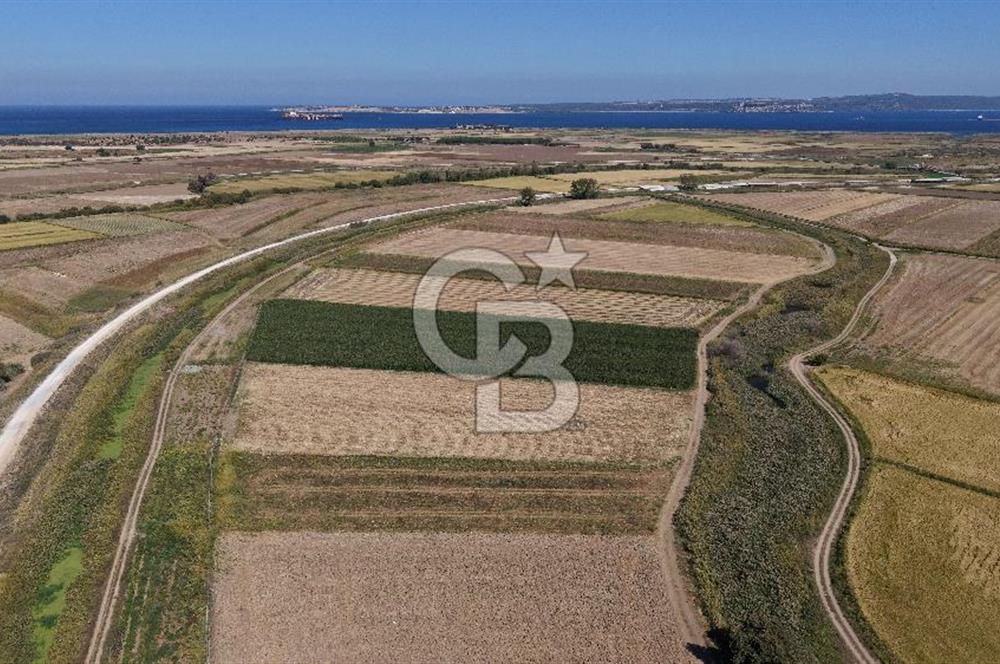 ÇANAKKALE KUMKALEDE VERİMLİ 3285 m² SATILIK TARIM ARAZİSİ