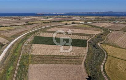 ÇANAKKALE KUMKALEDE VERİMLİ 3285 m² SATILIK TARIM ARAZİSİ