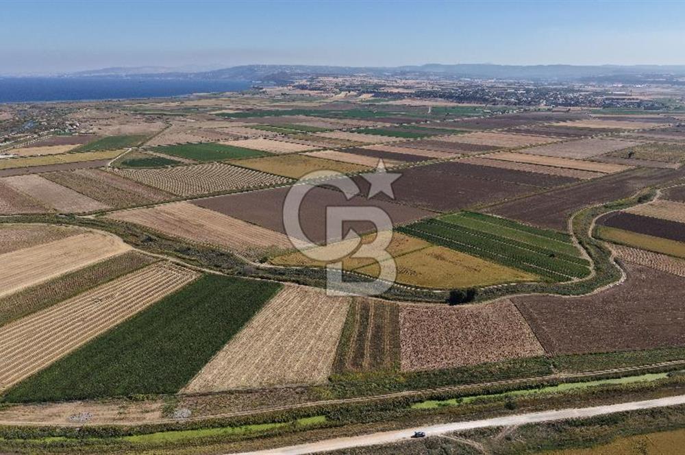 ÇANAKKALE KUMKALEDE VERİMLİ 3285 m² SATILIK TARIM ARAZİSİ
