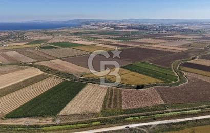 ÇANAKKALE KUMKALEDE VERİMLİ 3285 m² SATILIK TARIM ARAZİSİ