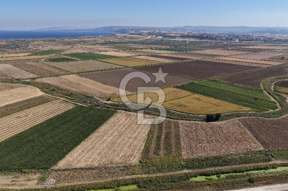 ÇANAKKALE KUMKALEDE VERİMLİ 3285 m² SATILIK TARIM ARAZİSİ