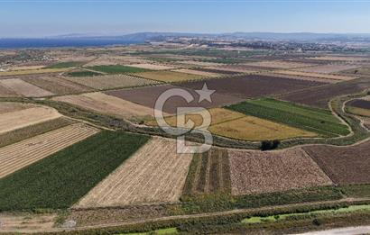 ÇANAKKALE KUMKALEDE VERİMLİ 3285 m² SATILIK TARIM ARAZİSİ