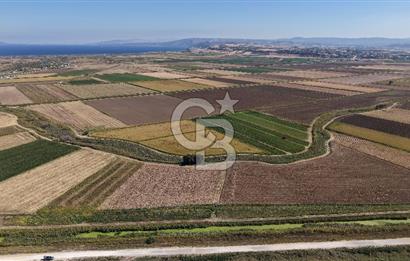 ÇANAKKALE KUMKALEDE VERİMLİ 3285 m² SATILIK TARIM ARAZİSİ