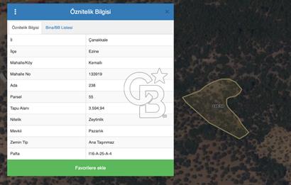 ÇANAKKALE'DE DENİZ MANZARALI ZEYTİNLİK