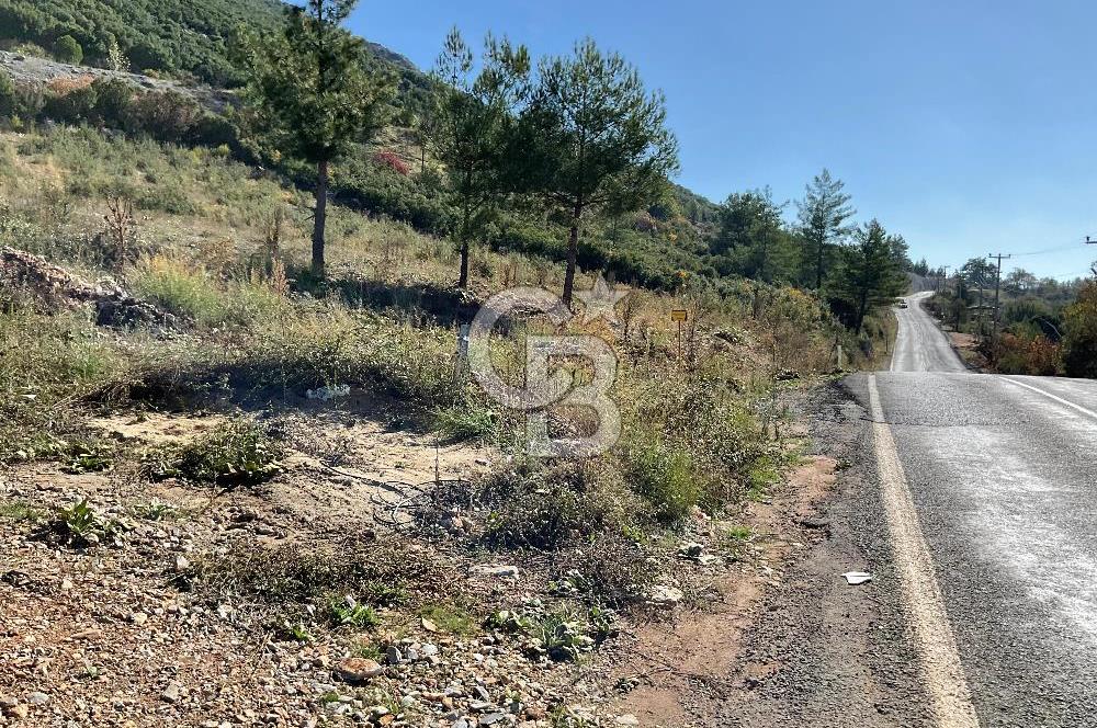 Muğla Menteşe Gülağzı Mahallesi Kolçak Mevkii Satılık İmarlı Arsa