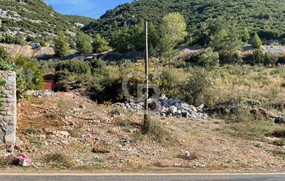 Muğla Menteşe Gülağzı Mahallesi Kolçak Mevkii Satılık İmarlı Arsa