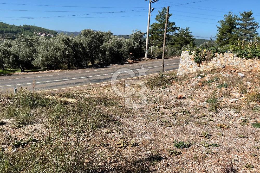 Muğla Menteşe Gülağzı Mahallesi Kolçak Mevkii Satılık İmarlı Arsa