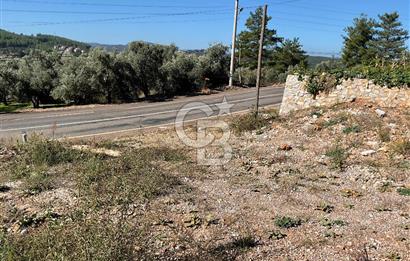 Muğla Menteşe Gülağzı Mahallesi Kolçak Mevkii Satılık İmarlı Arsa