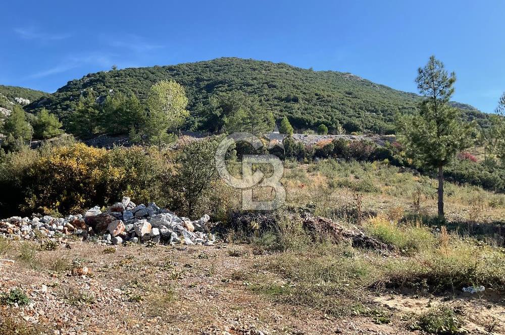 Muğla Menteşe Gülağzı Mahallesi Kolçak Mevkii Satılık İmarlı Arsa