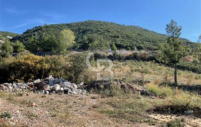 Muğla Menteşe Gülağzı Mahallesi Kolçak Mevkii Satılık İmarlı Arsa