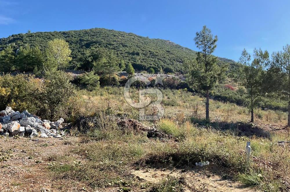 Muğla Menteşe Gülağzı Mahallesi Kolçak Mevkii Satılık İmarlı Arsa