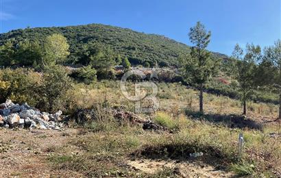 Muğla Menteşe Gülağzı Mahallesi Kolçak Mevkii Satılık İmarlı Arsa