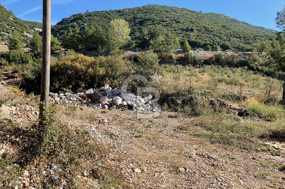 Muğla Menteşe Gülağzı Mahallesi Kolçak Mevkii Satılık İmarlı Arsa