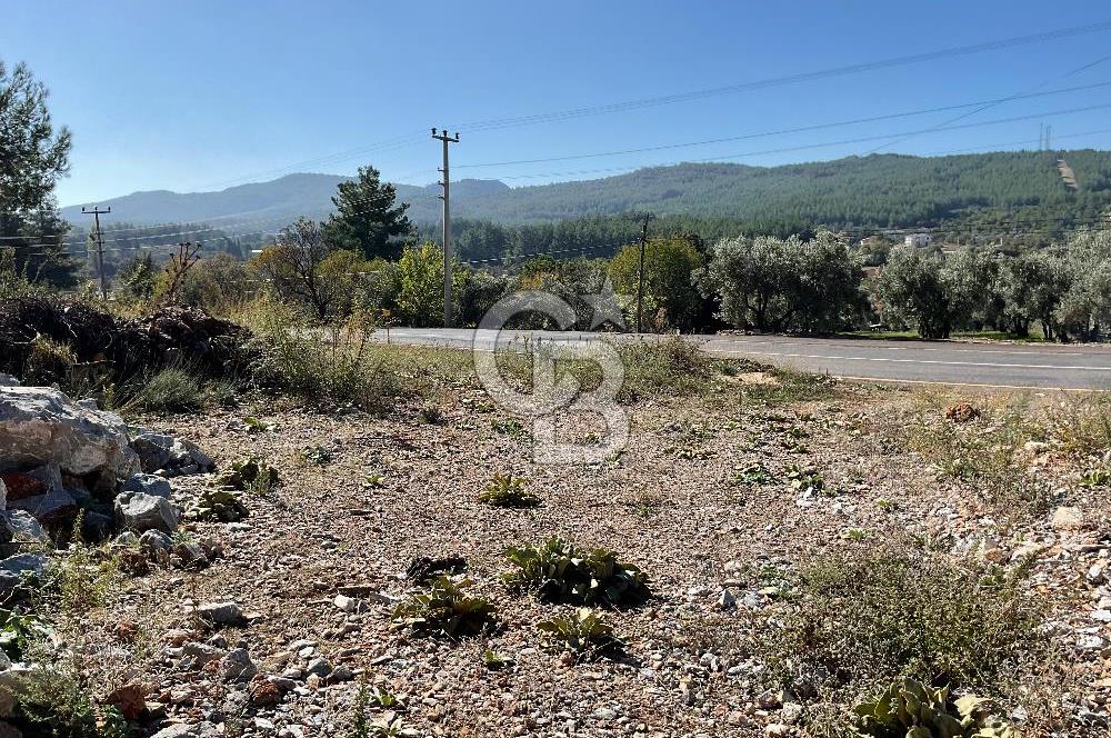Muğla Menteşe Gülağzı Mahallesi Kolçak Mevkii Satılık İmarlı Arsa