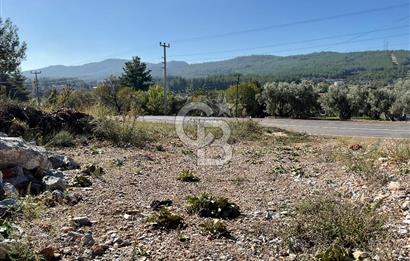Muğla Menteşe Gülağzı Mahallesi Kolçak Mevkii Satılık İmarlı Arsa